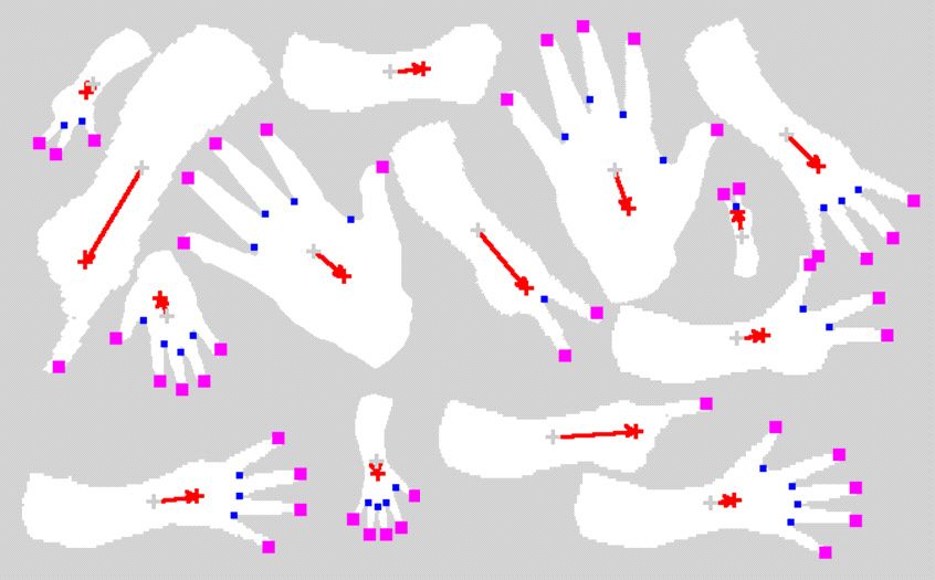 Fingertip and finger valley detection results.
