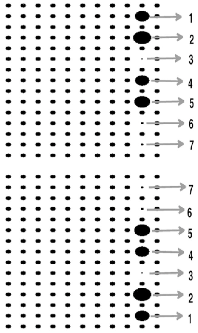 The defect rods are consecutively numbered from thetop of the waveguide as the 7D-PSO algorithm parameters.