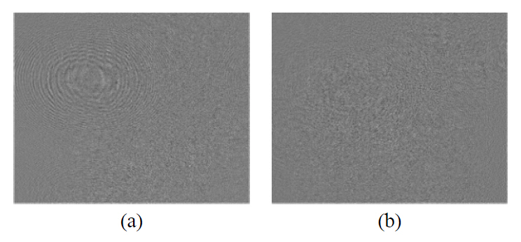 The single-exposure inline holographic fringe patternsof the toy cars with size of 1024×1024 pixels. (a) Car I and (b)car II.