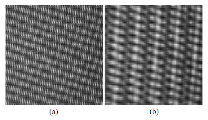 Photographs of overlapped gratings from theexperiment (σ ρ) = (1 1); (a) α = 28° (in the neighborhood ofthe optimal angle) (b) α = 3° (far from the optimal angle).