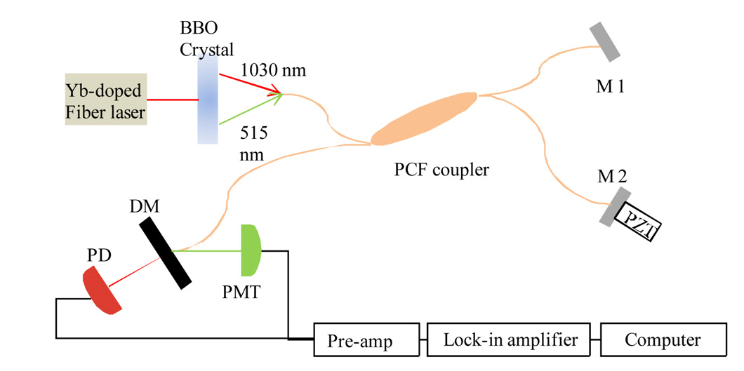 PCF coupler based interferometer for measurements ofboth fundamental and SH waves. Light having two differentwavelength was guided through the PCF coupler