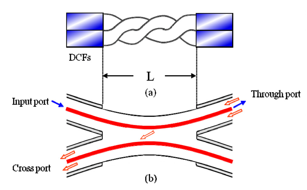 The schematic of the DCF coupler formed by twistingtwo pieces of the DCF after stripping the jacket (outercladding) (a). The schematic side-view of the DCFcoupler(b). The excitation beam shown at the input portpasses through the core of the through port and the collectionbeam is guided to the cross port through its cladding area