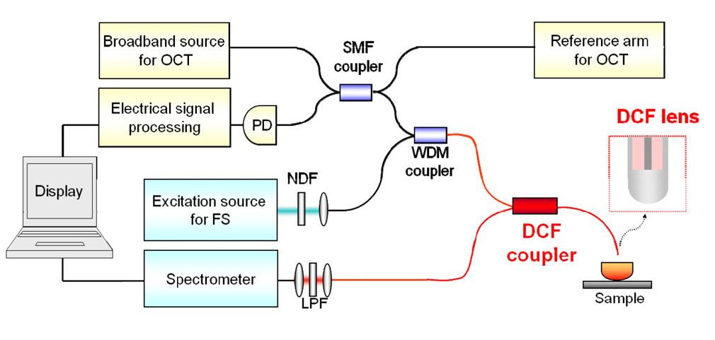 The combined OCT-FS multi-modal system based onthe proposed polymer-clad DCF and the DCF coupler. TheDCF coupler works as a concentric common probe with the aidof the DCF lens. (SMF coupler : single mode fiber couplerWDM coupler : wavelength division multiplexed couplerNDF : neutral density filter LPF : long pass filter PD :photodetector).