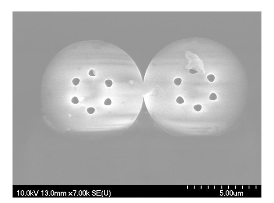 The SEM image of a cross section of the fused areaoptical of the HAF coupler with 21 mm elongation length.