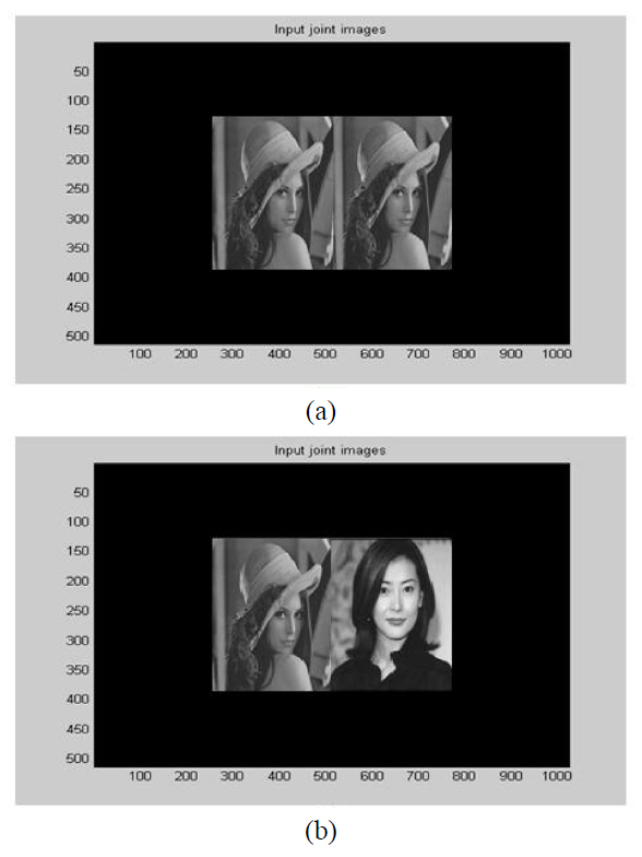 256×256 gray input joint images of a portrait ; (a)match (b) mismatch.