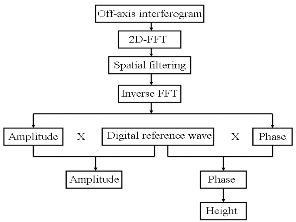 Flowchart of the algorithm that was used to analyzethe off-axis interferogram.