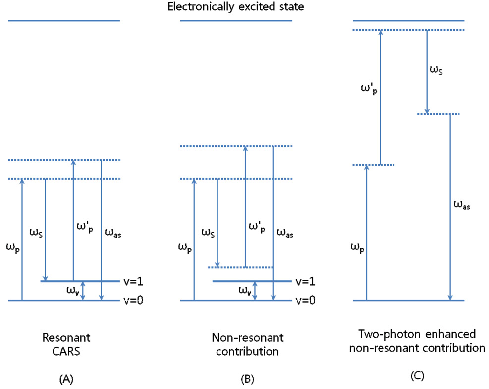 Resonant and non-resonant contributions for CARSsignal. (A) Resonant CARS. (B) Non-resonant CARS due tothe third-order susceptibility where the dotted lines indicatevirtual states. (C) Two-photon resonance of pump beamassociated with the excited electronic state.