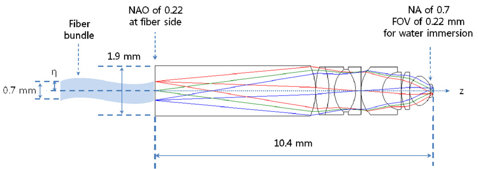 A miniaturized microscope objective for CARSimaging catheter with fiber bundle which the magnificationrelationship is given to 'M' = NAO/NA = η’/η where  'M'denotes the absolute value of magnification η denotes halfthe diameter of fiber bundle and η’ denotes half field of view(FOV) . Effective focal length of this system is also given tobe 2.975 mm.