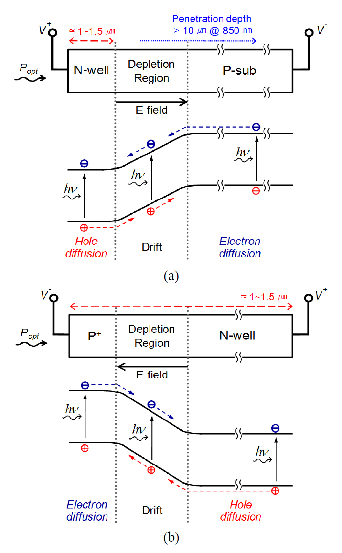 Simplified band diagrams for (a) N-well/P-substrateand (b) P+/N-well type CMOS-APDs.