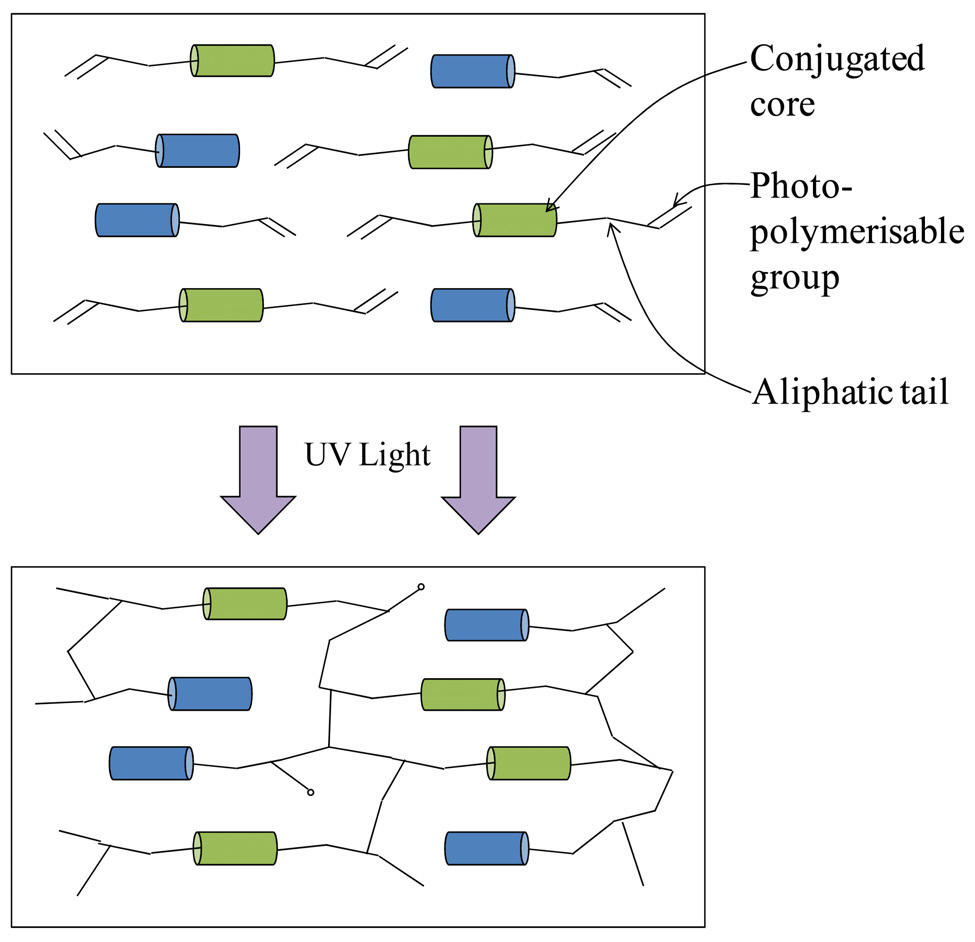 Schematic diagram of the UV-curable reactivemesogen molecules consisting of a conjugated core aliphatictail and photopolymerizable group before and after thecrosslink by UV exposure.