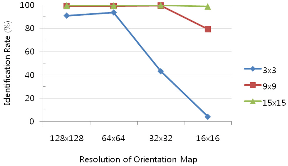 The effects of the size of the scanning window and the resolution of the orientation map.