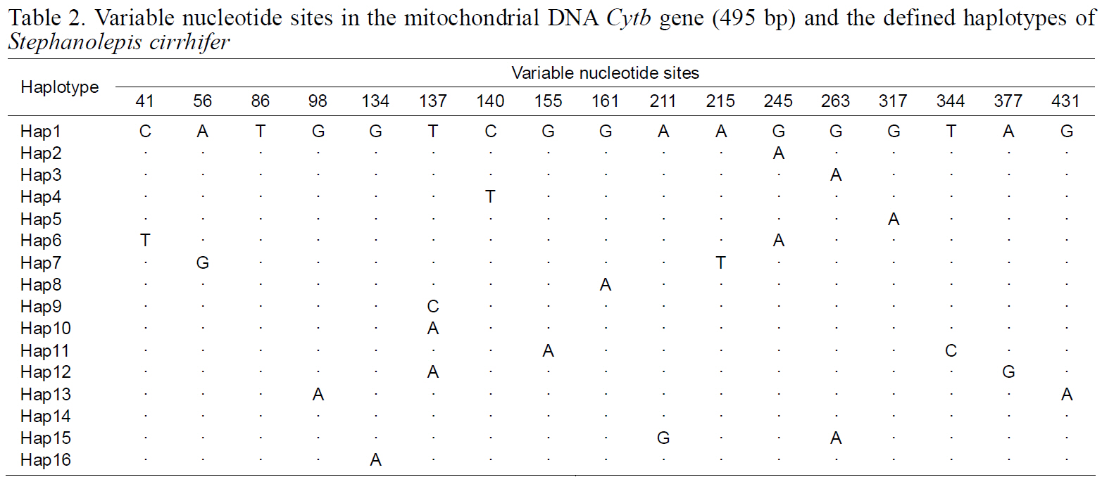Variable nucleotide sites in the mitochondrial DNA Cytb gene (495 bp) and the defined haplotypes of  Stephanolepis cirrhifer