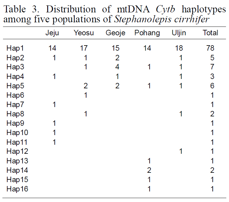 Distribution of mtDNA Cytb  haplotypes among five populations of Stephanolepis cirrhifer