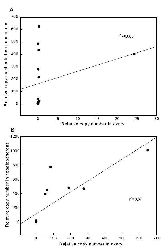 Correlation graphs of two Pj-Vg transcripts
between ovary and hepatopancreas
A) Correlation of Pj-Vg1 copy numbers between in
ovary and hepatopancreas. B) Correlation of Pj-Vg2
copy numbers between in ovary and hepatopancreas.