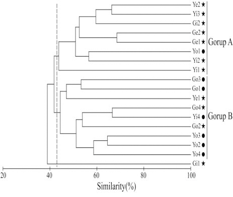 Dendrogram illustrating relationship among sampling stations based on the number of individuals collected in Gamak Bay and Yeoja Bay between January an December 2007. Stars and circles indicate inside and outside the bays respectively.