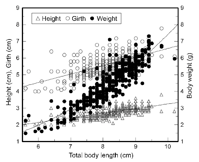 The relationships between total body lengthsand their body weight heights and girths of juvenilebastard halibut.