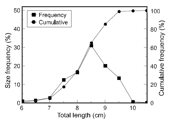 The size frequency (filled square) and cumulative frequency (filled diamond) of juvenile bastard halibut in relation to total body length from 43 mm mesh cod-end.