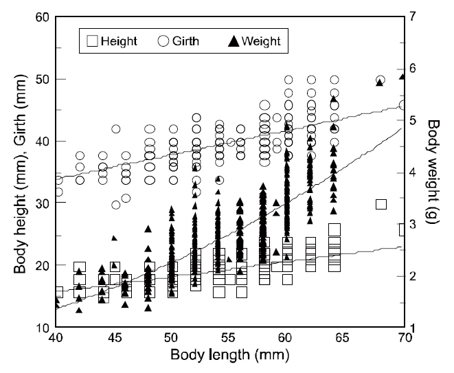 Relationships between total body length and body weight height and girth of juvenile red seabream.