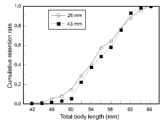 The cumulative retention rate of juvenileseabream in relation to total body length from 28 mmand 43 mm codends.