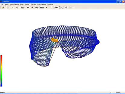 Underwater shape of the purse seine gear simulated on a computer.
