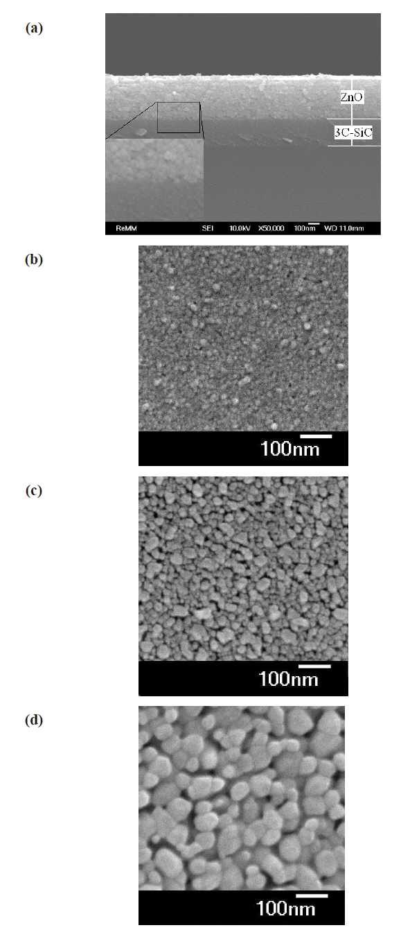 (a) Field emission scanning electron microscopy (FE-SEM)cross-sectional of ZnO/SiC at 600℃ and SEM images of ZnO/3CSiC/Si at various annealing temperatures (b) no annealing (c) 600℃and (d) 700℃.