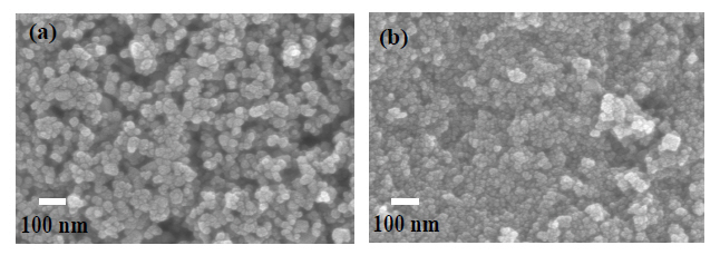 Field emission scanning electron microscopy images of (a) Degussa P25 powder and (b) synthesized TiO2.