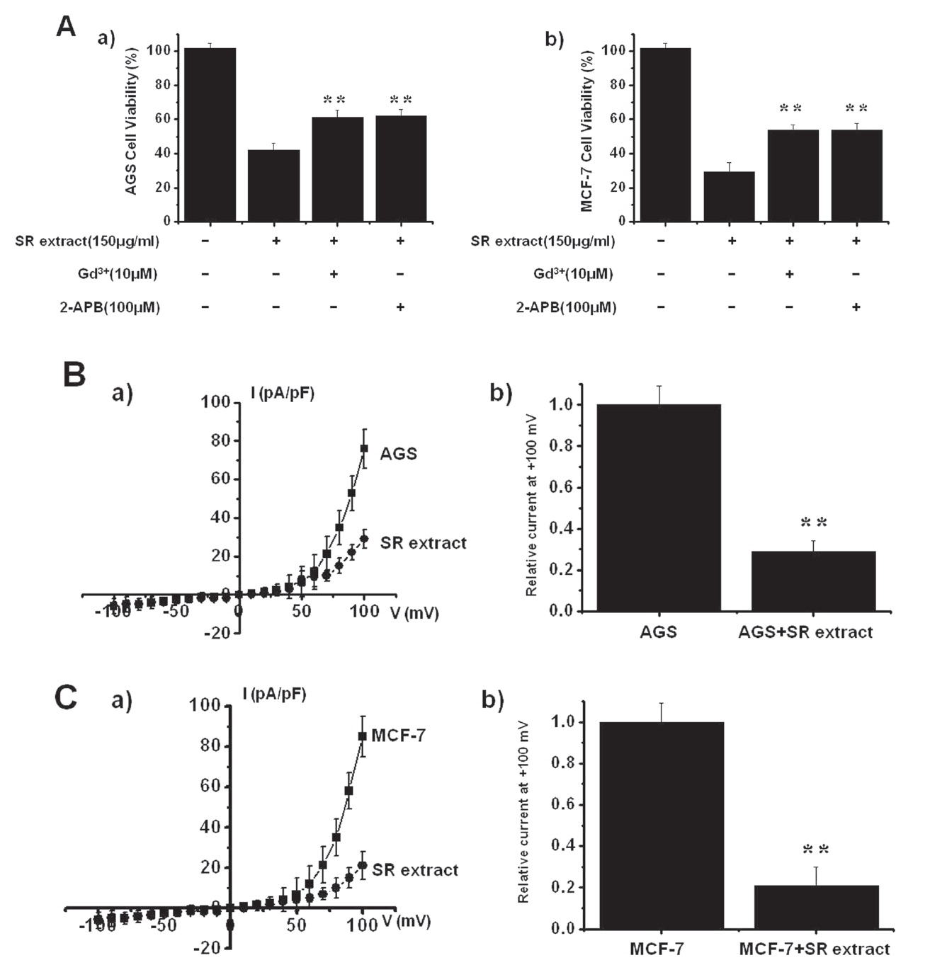 Inhibition of cell death by transient receptor potential melastatin (TRPM7) blockade. (A) MTT assay induced by different treatment as indicated in AGS (a) and MCF-7 (b) cells. Inhibition of TRPM7 channels by Gd3  or 2-APB reduced SR induced apoptosis. (B) Effect of SR on TRPM7-like current in AGS cells. I-V curves (a) and summary bar graph (b) in the absence (■) or presence (●) of SR. (C) Effect of SR on the TRPM7-like current in MCF-7 cells. I-V curves (a) and summary bar graph (b) in the absence (■) or presence (●) of SR. **P ？ 0.01.