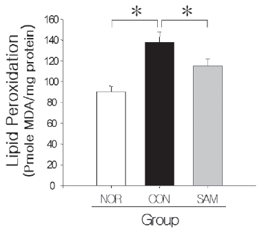 Effect of Glycyrrhizae Radix pharmacopuncture treatment on changes in lipid peroxidation of cortex of kidneys in ischemia/reperfusion induced acute renal failure. Data are mean±S.E. of five experiments. NOR, normal group; CON, 1 hr of renal ischemia applied group; SAM, 1 hr of renal ischemia and 1% concentration of Glycyrrhizae Radix extract treated group. *, p<0.05.