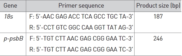 Primer for RT-PCR.