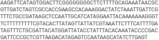 Determined DNA sequence of the putative Panax ginseng rpoC1 gene.