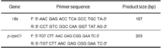 Primer for the RT-PCR