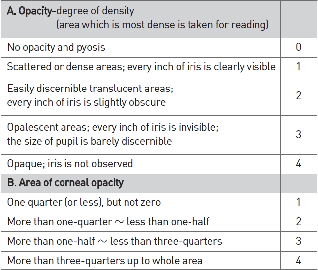Scale of weighted scores used for grading the severity of ocular lesions (cornea)