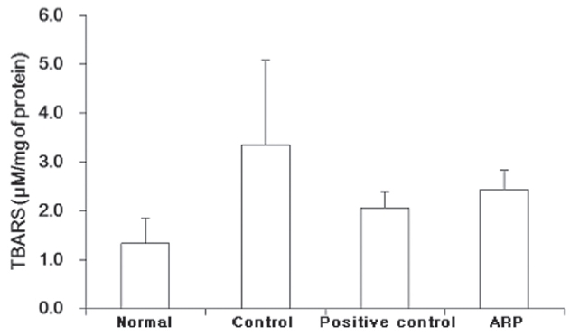 Effect of ARP on the gastric mucosal TBARS content inrats with and without a compound 48/80 injection.