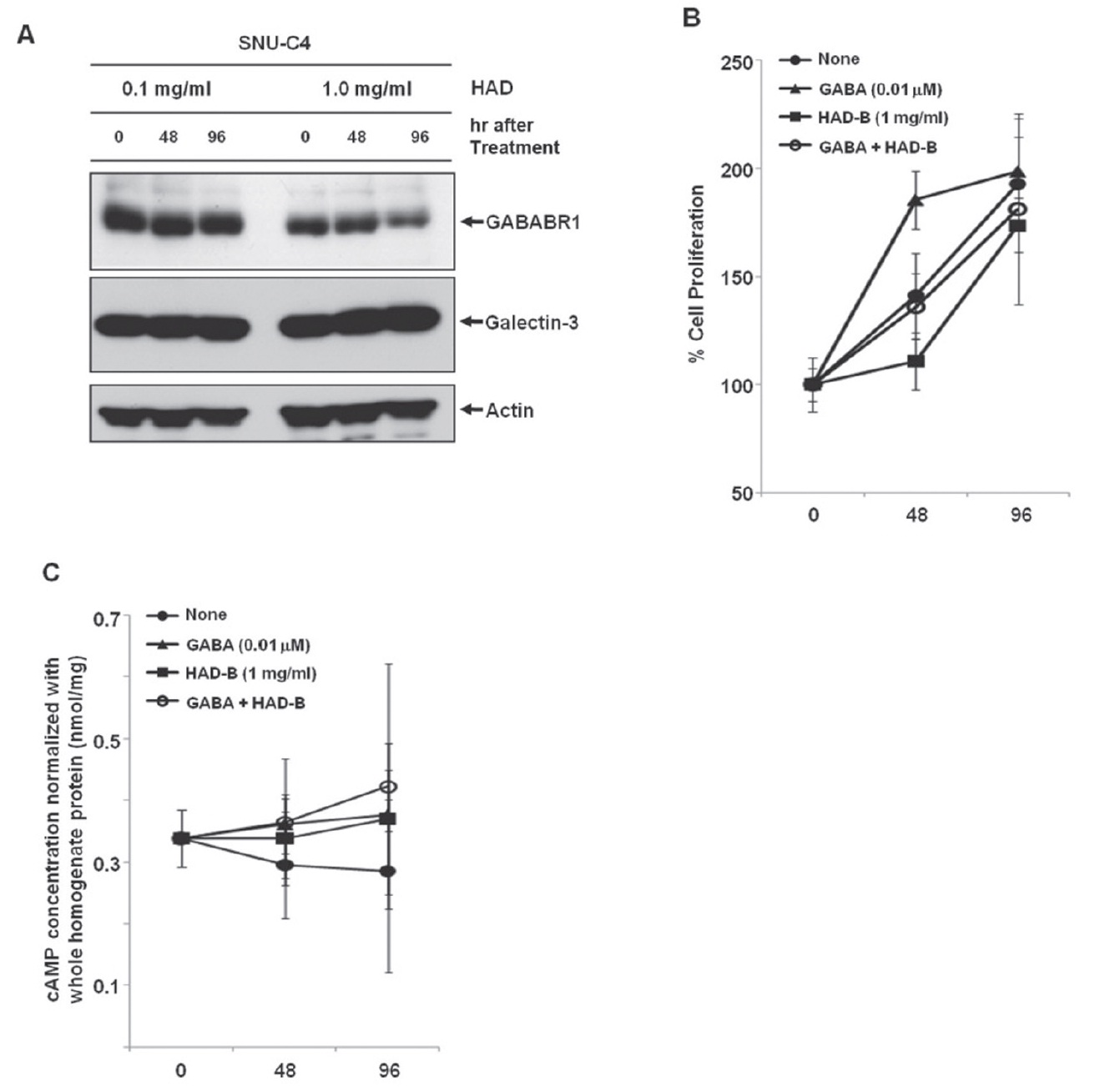 Reduced GABABR1 expression and suppressed cell proliferation of SNU-C4 by treatment with HAD-B. (A) Decreased GABABR1 expression by treatment with HAD-B. At 96 hrs after treatment of with 1 mg/ml HAD-B, protein expression of GABABR1 was decreased in SNU-C4. (B) Suppressed cell proliferation by treatment with HAD-B. GABA treatment recovered the rate of proliferation of SNU-C4 that had been suppressed by HAD-B treatment. (C) Increase in the intracellular cAMP by either GABA or HAD-B treatment. Treatment with GABA or HAD-B increased the basal level of intracellular cAMP.