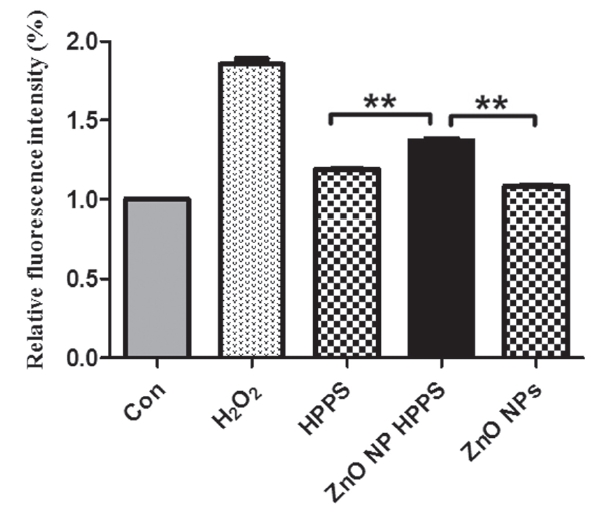 Effects of HPPS, ZnO NPs, and ZnO NP HPPS on the intracellular ROS production in RAW 264.7 cells. Cells were treated with 1μ g/ml HPPS, ZnO NPs, and ZnO NP HPPS for 30 mins prior to assay. The y axis represents the relative fluorescence intensity and reflects the amount of ROS. ZnO NP HPPS induces 25% and 15% more ROS than ZnO NPs and HPPS, respectively (**p <0.01).