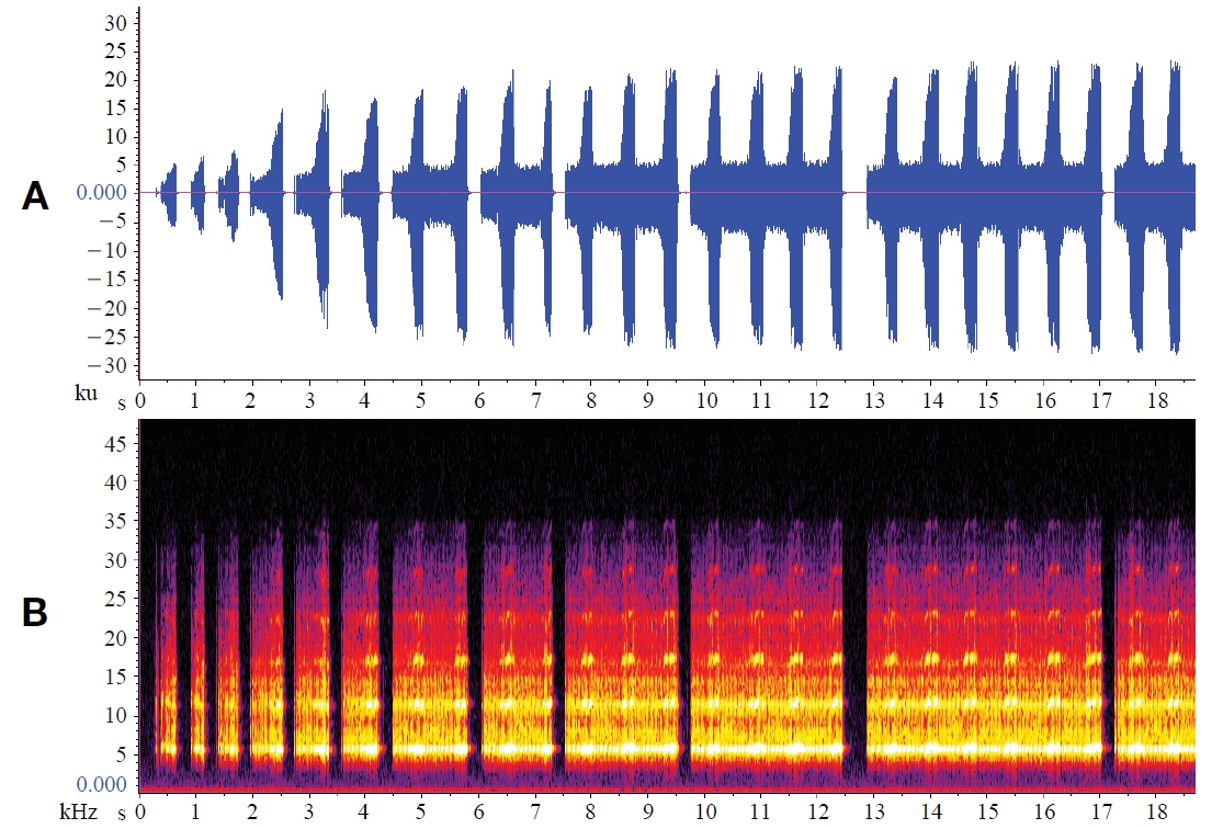 Calling sound of a male of Turanogryllus eous Bey-Bienko 1956 from Korea (day 28℃). A Oscillogram; B Spectrogram.