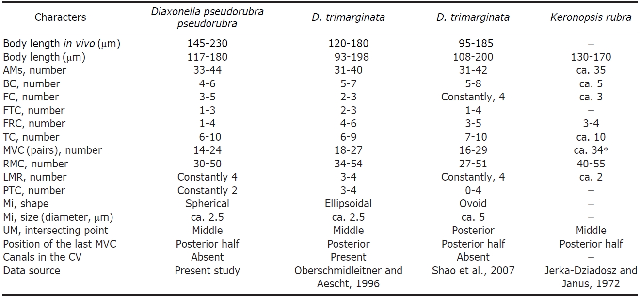 Comparisons of  Diaxonella pseudorubra pseudorubra which has different names