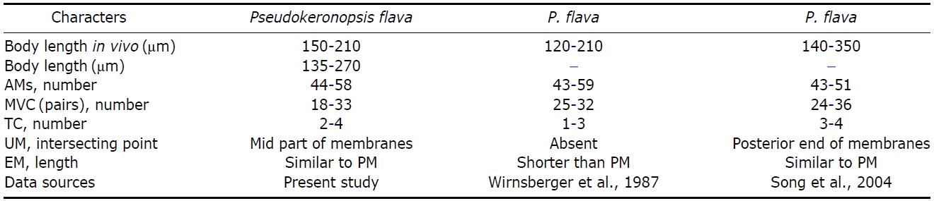 Comparisons of different populations of Pseudokeronopsis flava