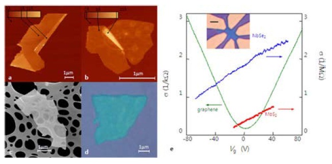 Atomic force microscope images of various two-dimensional (2D) crystals discovered along with graphene. (a) NbSe2, (b) graphite, (c) MoS2, and (d) Bi2Sr2CaCu2Ox. The crystals are on 300 nm oxidized Si wafer except the MoS2, which is on holey carbon nulllm. (e) The graph shows the electric nulleld enullect in sheets of 2D crystals. The changes in electrical conductivity of NbSe2, MoS2, and graphene are shown as a function of gate voltage. It is clear that graphene has a distinct trend compared to other 2D crystals (inset is the device used to measure the conductivity) [5].