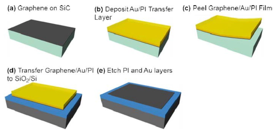 Schematic illustration of the steps for transferring graphene grown on an SiC wafer to another substrate by using the Au peeling method [28].