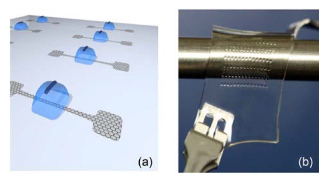 Graphene for stretchable transparent transistor. (a) Schematic illustration of monolithically patterned graphene transistor. Ion gel is printed on channel region by aerosol printing method. (b) Photograph of stretchable ion gel gate dielectric graphene transistor array on PDMS substrate [80].