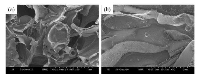 Scanning electron microscope microphotographs of carbon foam prepared by phenol/formaldehyde molar ratio of (a) 1.6 and (b) 3.2.