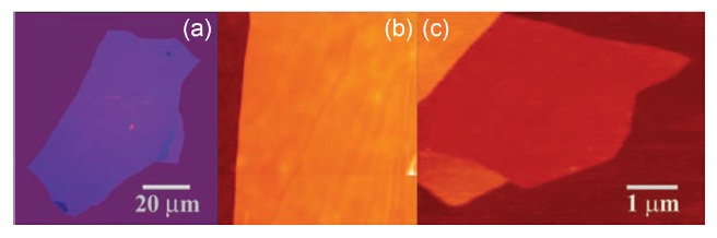 Novoselov et al. [1] were the first to observe a single layer graphene; (a) photograph (in normal white light) of a relatively large multilayer graphene flake with a thickness of about 3 nm on top of an oxidized Si wafer, (b) atomic force microscope (AFM) image of 2 μm by 2 μm area of this flake near its edge (colors: dark brown, SiO2 surface; orange, 3 nm height above the SiO2 surface), (c) AFM image of single-layer graphene (colors: dark brown, SiO2 surface; brown-red (central area), 0.8 nm height; yellow-brown (bottom left), 1.2 nm; orange (top left), 2.5 nm. Notice the folded part of the film near the bottom, which exhibits a differential height of about 0.4 nm).