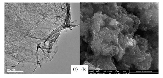 Transmission electron microscope (a) and scanning electron microscope (b) images of graphene oxide prepared from Srinivas et al. [87].