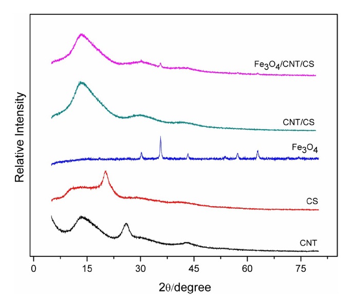 X-ray diffraction patterns of chitosan (CS), carbon nanotubes (CNTs), Fe3O4, and the nanocomposite films.