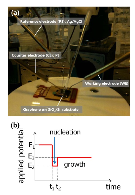 (a) Measurement configuration for selective electrochemical deposition of Au nanoparticles. (b) The engineered potential pulse to enhance the selectivity of Au nanoparticle deposition.