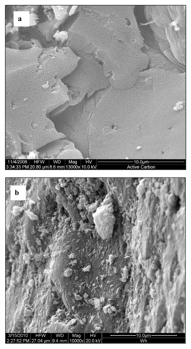 Scanning electron microscopic images of (a) active carbon (b) impregnated carbon.