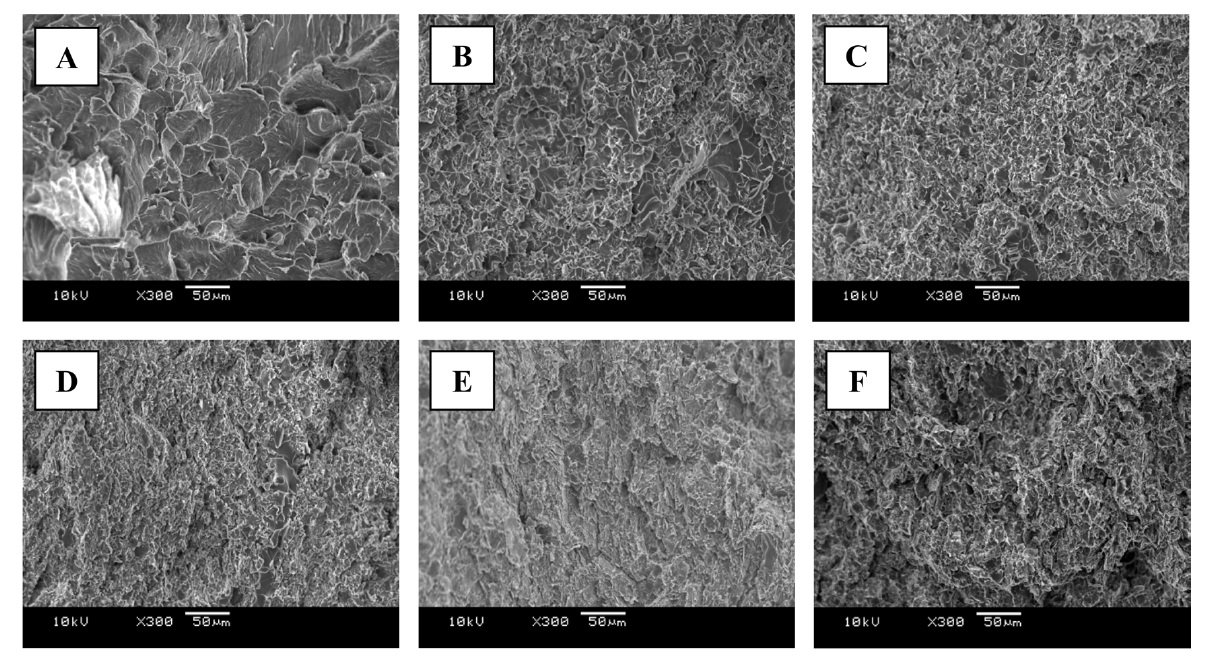 Scanning electron microscope micrographs showing the fracture surfaces of (a) PETI-5 and EGN/PETI-5 composites: (b) EGN1/PETI-5, (c) EGN3/ PETI-5, (d) EGN5/PETI-5, (e) EGN10/PETI-5, and (f) EGN20/PETI-5 (300×). EGN: exfoliated graphite nanoplatelets, PETI-5: phenylethynyl-terminated polyimide.