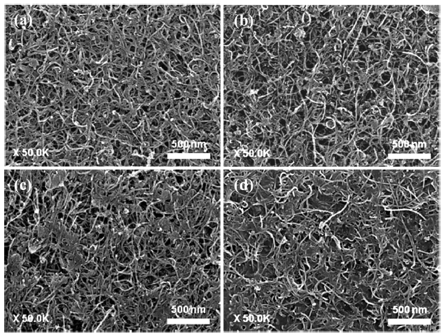 Field-emission scanning electron microscopy images of (a) pris-tine FWCNT/TEOS, (b) N_FWCNT/TEOS, (c) SN-a FWCNT/TEOS and (d) SN-bFWCNT/TEOS based field emitters before the surface activation, respec-tively. FWCNT: few-walled carbon nanotube, TEOS: tetraethyl orthosilicate