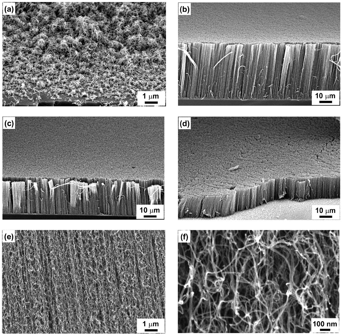 Scanning electron microscopy (SEM) images of carbon nanotubes (CNTs) grown at different hydrogen sulfide (H2S) flow rates: (a) 15, (b) 30, (c) 50, (d) 80 sccm and the high magnified SEM images of CNTs grown at a H2S flow rate of 80 sccm (e,f ).